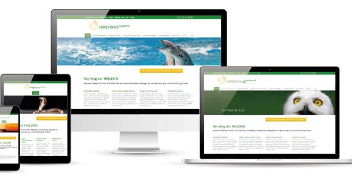 Herzfokus Website
