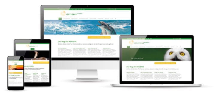 Herzfokus Website